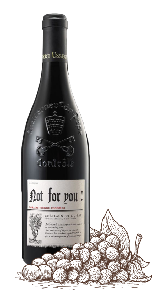 chateau neuf du pape3